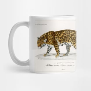 Jaguar (1892) Mug